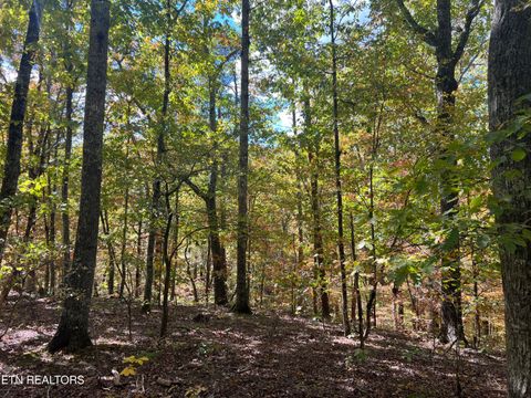 Photo of 0 Brady Rd, Newport, TN 37821 (MLS # 1318632)