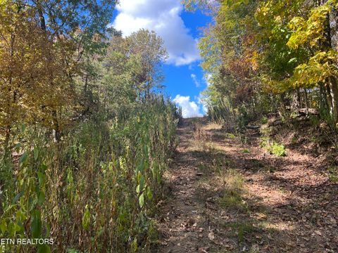 Tiny photo for 0 Brady Rd, Newport, TN 37821 (MLS # 1318632)