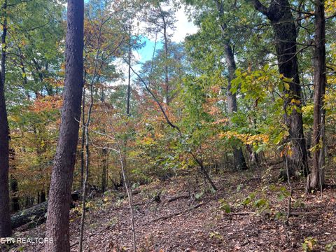 Tiny photo for 0 Brady Rd, Newport, TN 37821 (MLS # 1318632)