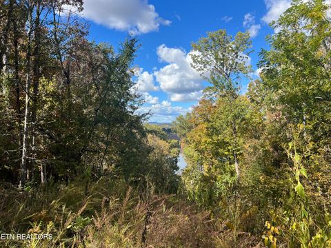 Tiny photo for 0 Brady Rd, Newport, TN 37821 (MLS # 1318632)