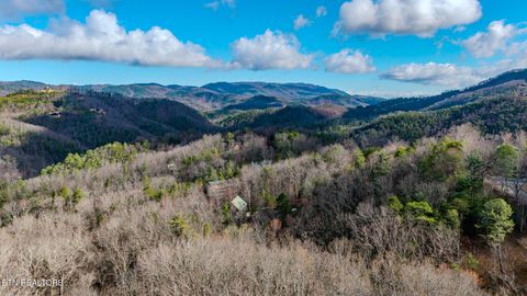 Tiny photo for Long Rifle Rd, Sevierville, TN 37862 (MLS # 1332628)