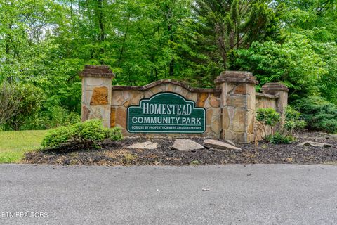 Tiny photo for Long Rifle Rd, Sevierville, TN 37862 (MLS # 1332628)