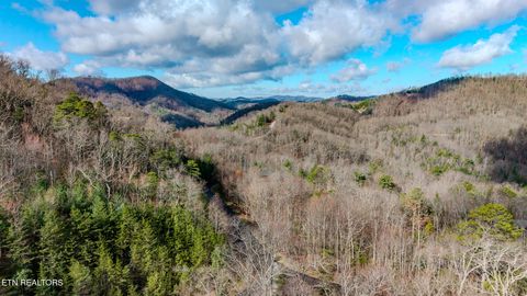 Tiny photo for Long Rifle Rd, Sevierville, TN 37862 (MLS # 1332628)