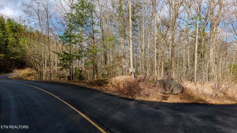 Tiny photo for Long Rifle Rd, Sevierville, TN 37862 (MLS # 1332628)