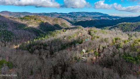 Tiny photo for Long Rifle Rd, Sevierville, TN 37862 (MLS # 1332628)
