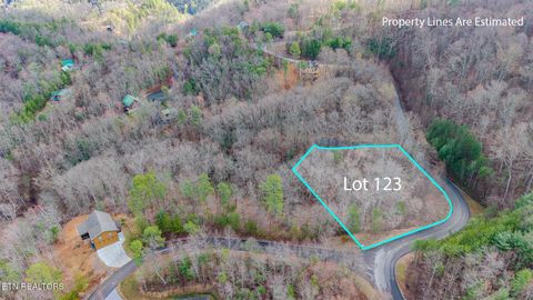 Photo of Long Rifle Rd, Sevierville, TN 37862 (MLS # 1332628)