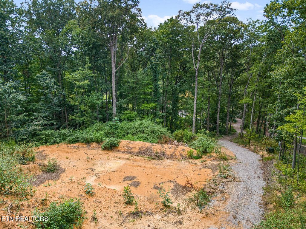 Photo of 6310 Highway 11 E, Lenoir City, TN 37772 (MLS # 1336654)