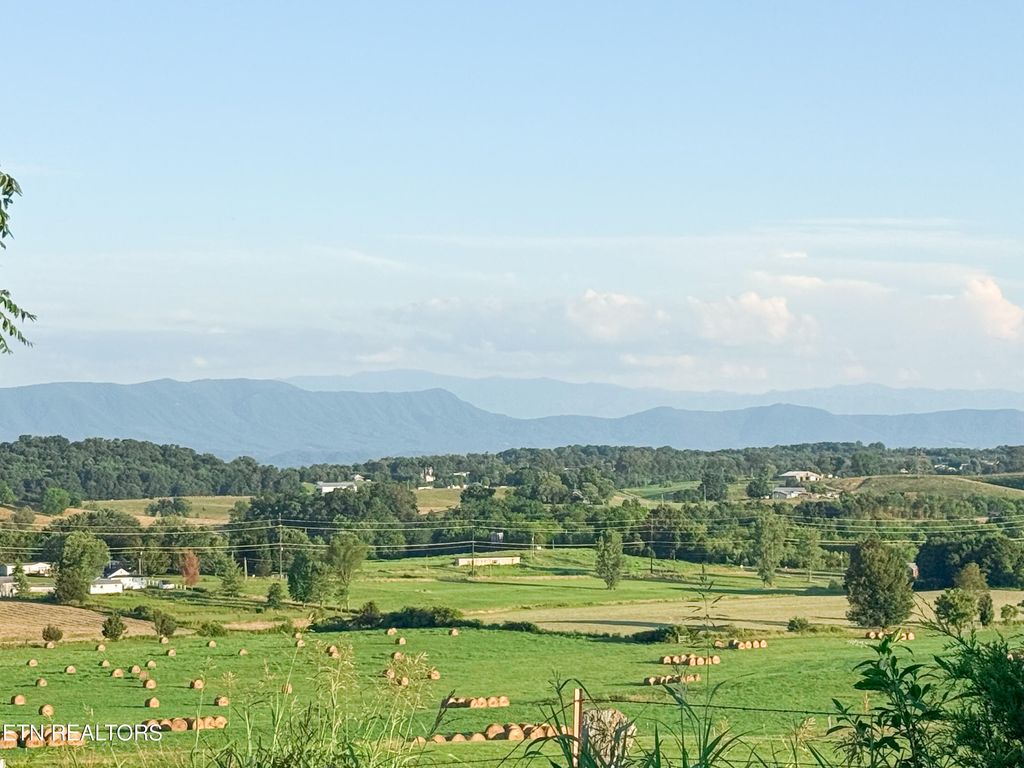 Photo of Lot 16 Summerset Drive, Talbott, TN 37877 (MLS # 1307846)