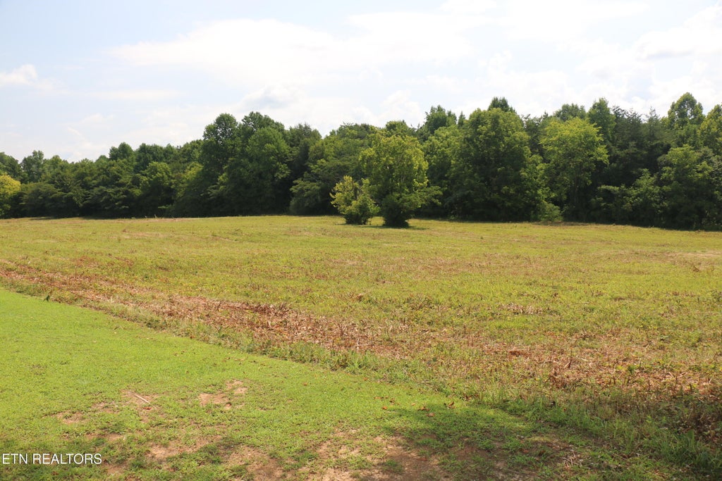 Photo of 286 4th St, Englewood, TN 37329 (MLS # 1352183)