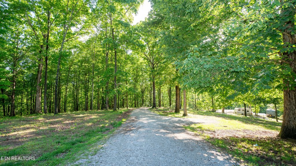 Photo of 124118 Nickey Lane, Harriman, TN 37748 (MLS # 1301395)