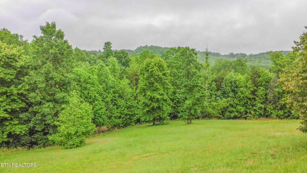 Photo of 509 Hidden Forest Tr, Spring City, TN 37381 (MLS # 1301603)