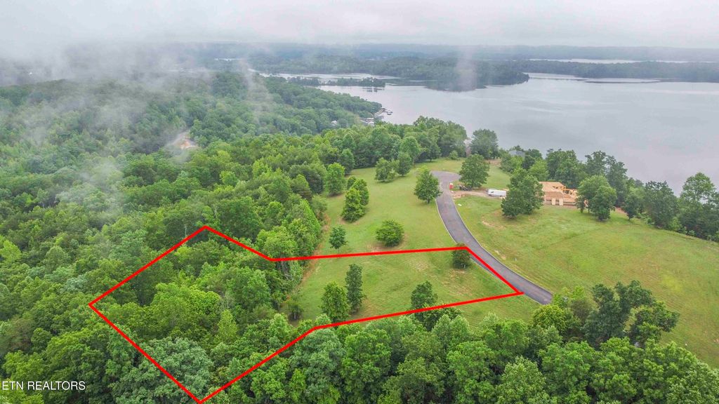 Photo of 509 Hidden Forest Tr, Spring City, TN 37381 (MLS # 1301603)