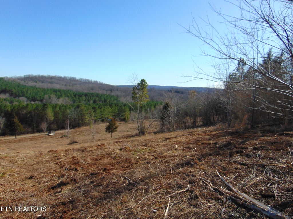 Photo of 5866 Cuno Lane, Decatur, TN 37322 (MLS # 1245401)