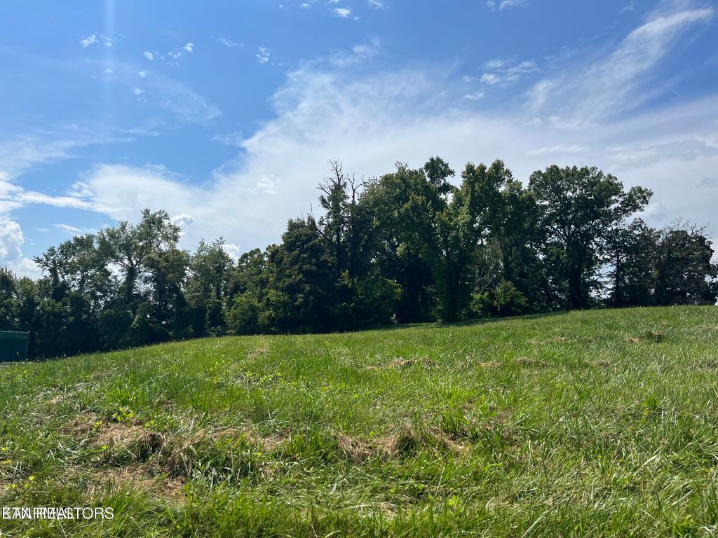 Photo of 379 Sunset View, Sharps Chapel, TN 37866 (MLS # 1300024)