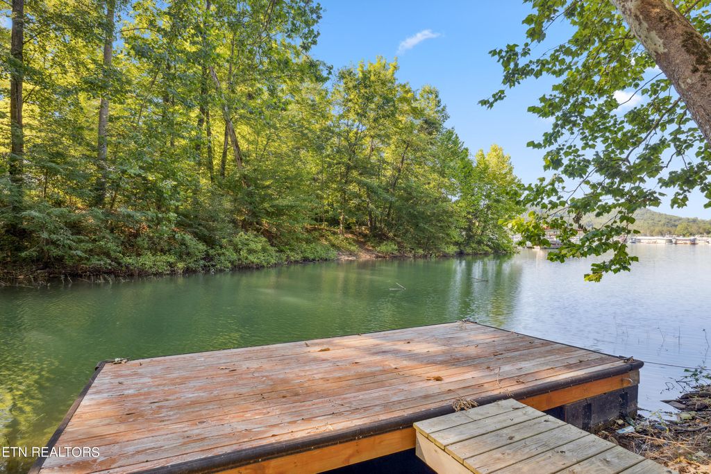 Photo of 180 Circle Point Drive, New Tazewell, TN 37825 (MLS # 1269501)