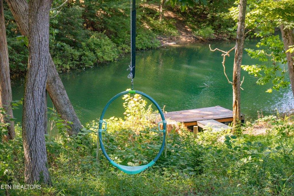 Photo of 180 Circle Point Drive, New Tazewell, TN 37825 (MLS # 1269501)