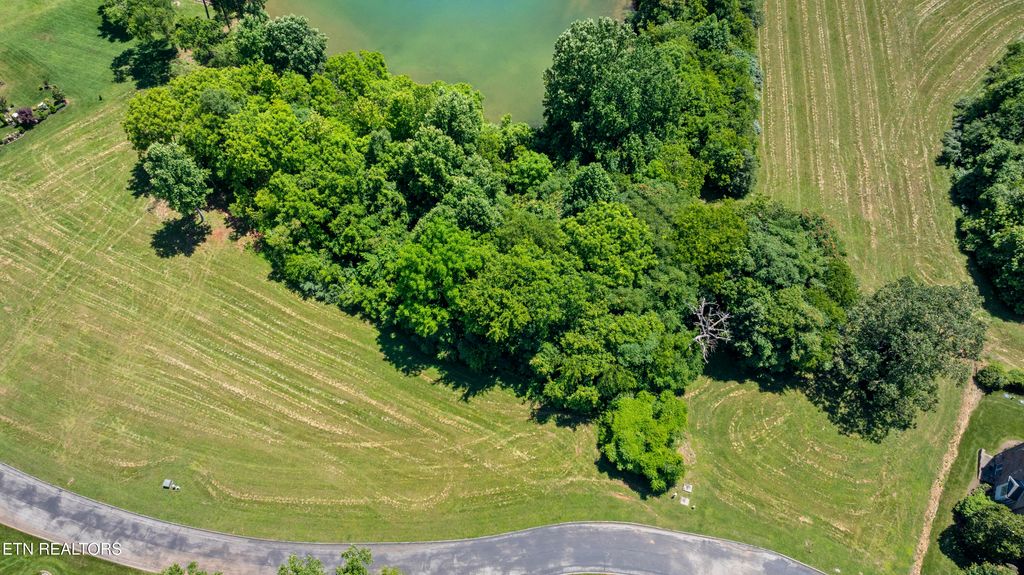 Photo of 370 Cormorant Drive, Vonore, TN 37885 (MLS # 1298894)