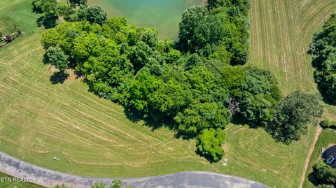 370 Cormorant Drive Vonore TN 37885