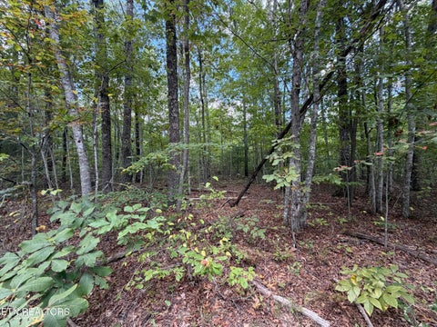 Tiny photo for 144 Horse Creek Rd, Jamestown, TN 38556 (MLS # 1357455)