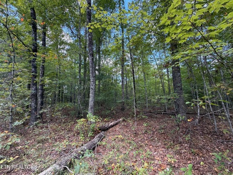 Tiny photo for 144 Horse Creek Rd, Jamestown, TN 38556 (MLS # 1357455)