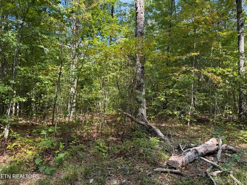 Tiny photo for 144 Horse Creek Rd, Jamestown, TN 38556 (MLS # 1357455)
