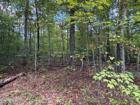 Tiny photo for 144 Horse Creek Rd, Jamestown, TN 38556 (MLS # 1357455)