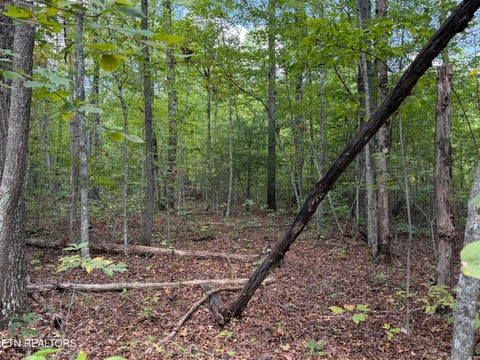 Tiny photo for 144 Horse Creek Rd, Jamestown, TN 38556 (MLS # 1357455)