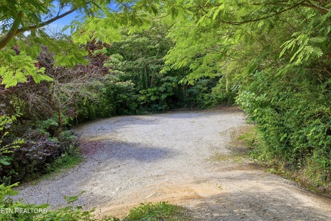 Tiny photo for 635 Briceville Hwy, Rocky Top, TN 37769 (MLS # 1340386)
