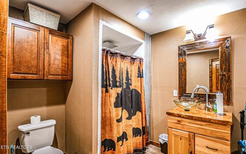 Tiny photo for 635 Briceville Hwy, Rocky Top, TN 37769 (MLS # 1340386)