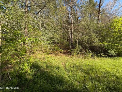 Tiny photo for 2930 Arch Way, Cosby, TN 37722 (MLS # 1337445)