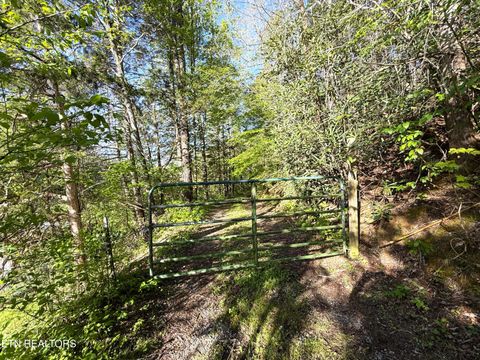 Tiny photo for 2930 Arch Way, Cosby, TN 37722 (MLS # 1337445)