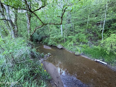 Tiny photo for 2930 Arch Way, Cosby, TN 37722 (MLS # 1337445)