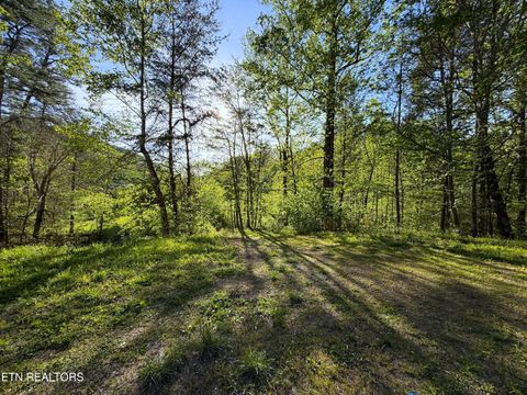 Tiny photo for 2930 Arch Way, Cosby, TN 37722 (MLS # 1337445)