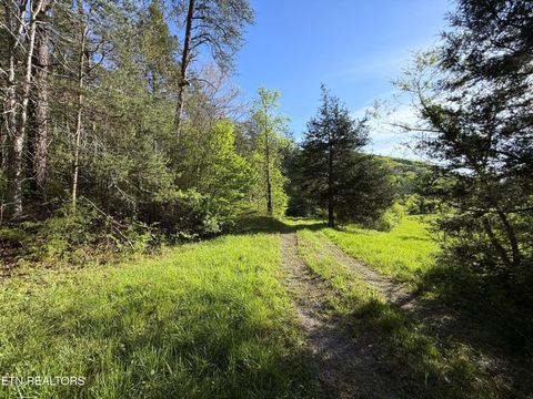 Tiny photo for 2930 Arch Way, Cosby, TN 37722 (MLS # 1337445)