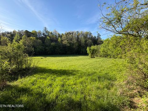 Tiny photo for 2930 Arch Way, Cosby, TN 37722 (MLS # 1337445)