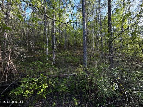 Tiny photo for 2930 Arch Way, Cosby, TN 37722 (MLS # 1337445)