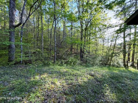 Tiny photo for 2930 Arch Way, Cosby, TN 37722 (MLS # 1337445)