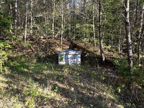 Tiny photo for 2930 Arch Way, Cosby, TN 37722 (MLS # 1337445)