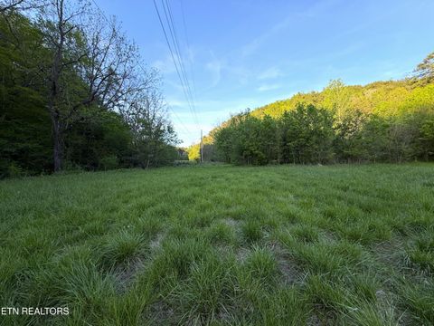 Tiny photo for 2930 Arch Way, Cosby, TN 37722 (MLS # 1337445)