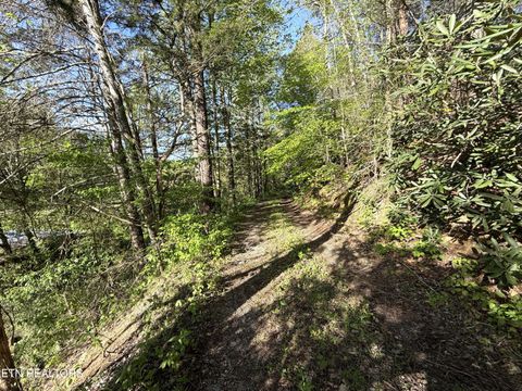 Tiny photo for 2930 Arch Way, Cosby, TN 37722 (MLS # 1337445)
