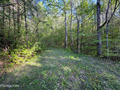 Tiny photo for 2930 Arch Way, Cosby, TN 37722 (MLS # 1337445)