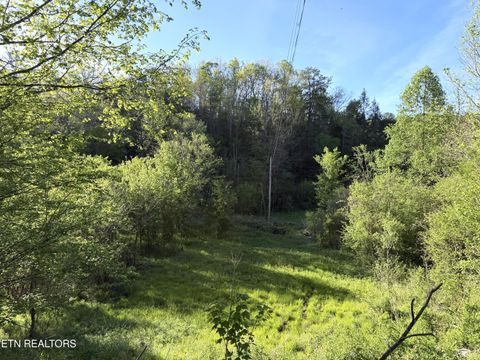 Tiny photo for 2930 Arch Way, Cosby, TN 37722 (MLS # 1337445)