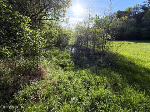 Tiny photo for 2930 Arch Way, Cosby, TN 37722 (MLS # 1337445)