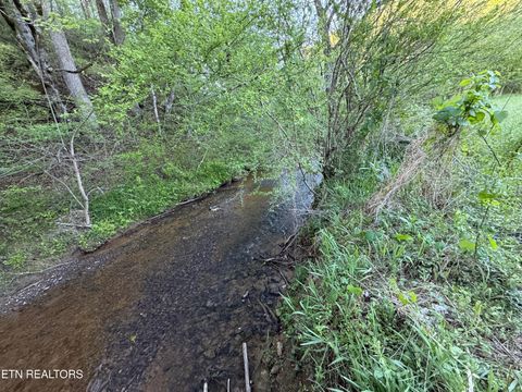 Tiny photo for 2930 Arch Way, Cosby, TN 37722 (MLS # 1337445)