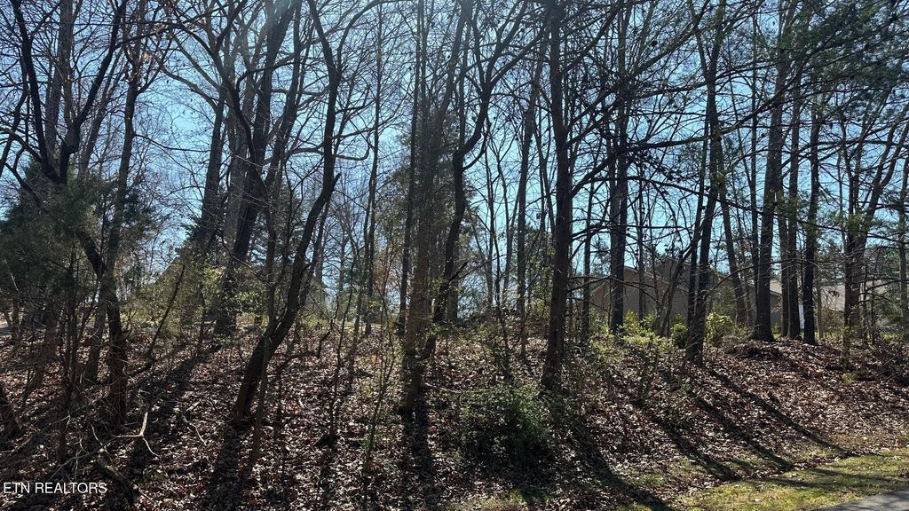 Photo of 129 Timberlake Drive, Greenback, TN 37742 (MLS # 1292821)