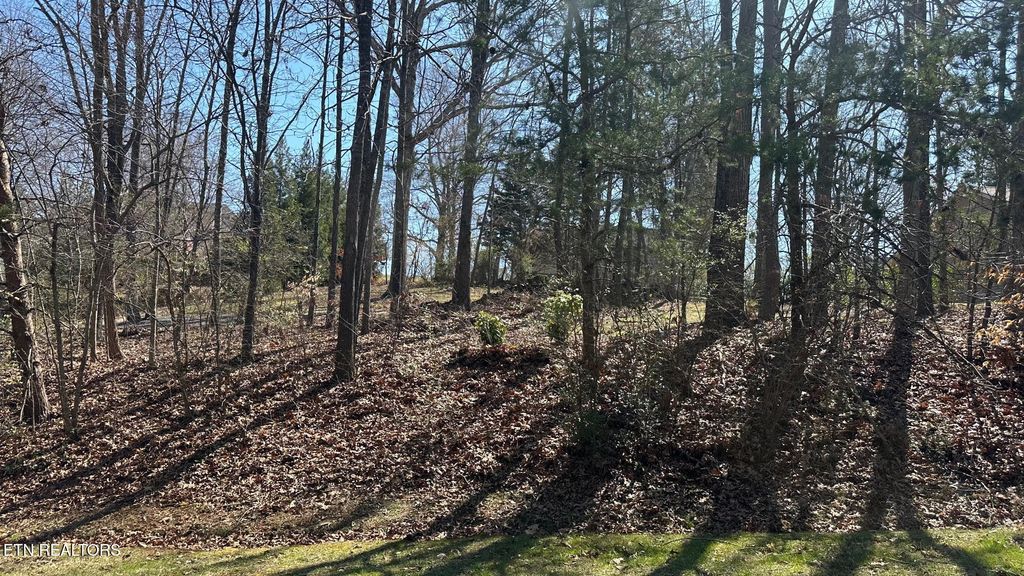 Photo of 129 Timberlake Drive, Greenback, TN 37742 (MLS # 1292821)