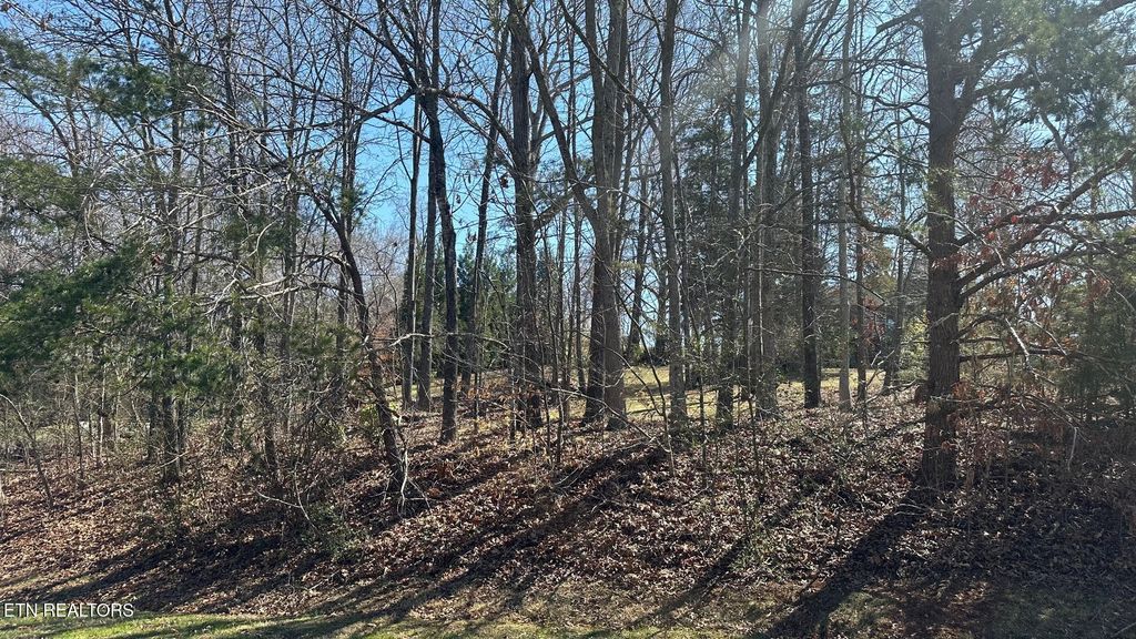 Photo of 129 Timberlake Drive, Greenback, TN 37742 (MLS # 1292821)