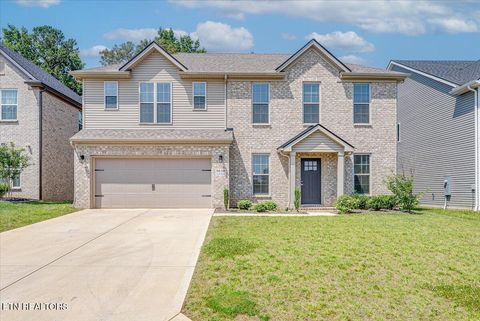 8630 Yellow Aster Rd Knoxville TN 37931