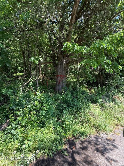 Muddy Lane Decatur TN 37322