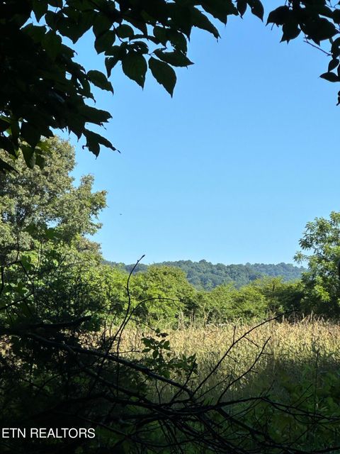 00 Williams East (42 acres) Rd Surgoinsville TN 37873